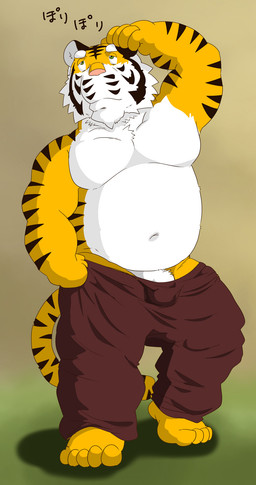 anthro belly bottomwear bulge clothing fur genitals humanoid_hands kemono male moobs navel overweight overweight_anthro overweight_male pants penis simple_background solo text undressing white_body white_fur raichoclub felid mammal pantherine tiger 2015 hi_res japanese_text