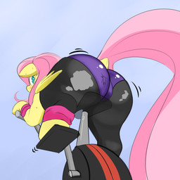 blush duo exercise female feral larger_female male micro size_difference smaller_male solo_focus wings askcanadash friendship_is_magic hasbro my_little_pony mythology anon fluttershy_(mlp) equid equine human mammal mythological_creature mythological_equine pegasus 1:1 absurd_res hi_res
