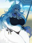 anthro beach big_breasts bikini blue_hair blush breasts clothed clothing female female_anthro hair huge_breasts kemono long_hair outside seaside shy slightly_chubby solo swimwear thick_thighs two-piece_swimsuit weight_conscious baburusushi lily_mari canid canine fox mammal 3:4 hi_res