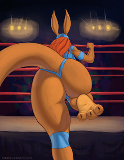 anthro big_butt big_tail bodily_fluids brown_body brown_fur butt camel_toe female fighting_ring fur hair latex lights long_ears paws red_hair solo sweat sweaty_butt tail thick_thighs wide_hips gobsmacker kangaroo macropod mammal marsupial hi_res