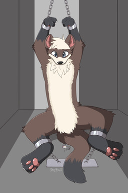 accident anthro bdsm bondage bound chain chained chained_cuffs chained_to_floor cuffed_ankles cuffed_wrists fluffy fluffy_tail fur fur_markings guy_in_distress hands_above_head hands_tied_above_head inner_ear_fluff legs_tied markings neck_tuft raised_arms solo spread_legs spreading tail tuft worried worried_look davyboi domestic_ferret mammal mustelid musteline true_musteline weasel 2:3 hi_res
