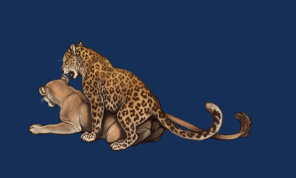 balls barely_visible_balls barely_visible_genitalia border duo female feral feral_on_feral from_behind_position genitals male male/female mounting penetration sex transparent_border vaginal vaginal_penetration xylax lioden felid leopard lion mammal pantherine alpha_channel smaller_version_at_source