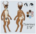 anthro antlers biped black_nose blue_eyes border brown_body brown_fur brown_hair butt fur grey_background hair heart_censor heart_symbol hooves horn male nude simple_background solo spots standing text white_border ethriol tzarious deer mammal new_world_deer white-tailed_deer censored english_text model_sheet