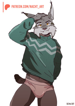 anthro briefs clothed clothing fur grey_body grey_fur looking_at_viewer male navel pose simple_background smile solo sweater tighty_whities topwear underwear white_briefs white_clothing white_underwear nacht disney zootopia pawbert_lynxley canada_lynx felid feline lynx mammal absurd_res digital_media_(artwork) hi_res pinup