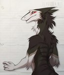 anthro black_body black_fur brown_body brown_fur fur looking_at_viewer looking_back looking_back_at_viewer male multicolored_body multicolored_fur nude orange_eyes paper rear_view solo tail white_body white_fur rotarr balthazar_(thorphax) sergal 2017