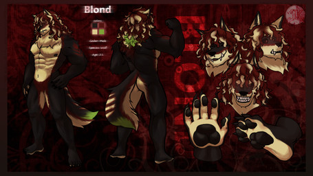 anthro barazoku claws curly_hair fangs hair looking_at_viewer male musclegut muscular muscular_anthro muscular_male nipples pecs side_view solo standing teeth text toe_claws jaskeywolf mythology blond_(blond_the_werewolf) canid canine canis mammal mythological_canine mythological_creature werecanid werecanine werecreature werewolf wolf absurd_res english_text hi_res model_sheet