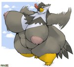 2016 anthro arkveveen_(artist) avian barely_visible_genitalia barely_visible_pussy beak big_breasts big_butt bodily_fluids bouncing_breasts breasts butt cloud curvy_figure female flying_sweatdrops generation_4_pokemon genitals huge_breasts huge_butt huge_thighs hyper hyper_breasts hyper_butt hyper_thighs nintendo nipples overweight overweight_anthro overweight_female pokemon pokemon_(species) pussy signature sky solo staraptor sweat sweatdrop thick_thighs voluptuous wide_hips
