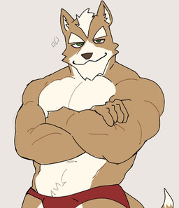 anthro briefs briefs_only bulge clothed clothing crossed_arms eyebrows fur green_eyes hair looking_at_viewer male multicolored_body multicolored_fur muscular muscular_male pecs red_briefs red_clothing red_underwear smile smiling_at_viewer solo sparkles tail tan_body tan_fur topless topless_anthro topless_male two_tone_body two_tone_fur underwear underwear_only white_body white_fur white_hair dekopaws nintendo star_fox fox_mccloud canid canine fox mammal red_fox true_fox 2026 digital_media_(artwork)