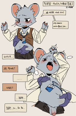 anthro balls belly belly_grab blush bottomwear clothing genitals humanoid_hands id_card kemono male open_mouth pants penis shirt slightly_chubby solo_focus text tongue tongue_out topwear ebi_tsunamayo mammal mouse murid murine rodent 2025 hi_res korean_text translated