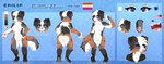 anthro blue_eyes emilia_(solidsnuck) female floppy_ears genitals hair head_tuft lesbian_pride_colors lgbt_pride muscular nipples nude open_mouth orange_lesbian_pride_colors pride_colors pussy solo tomboy tongue tongue_out tuft white_hair alister_ik australian_shepherd canid canine canis domestic_dog herding_dog mammal pastoral_dog sheepdog absurd_res hi_res model_sheet