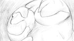 16:9 4_fingers ambiguous_form ambiguous_gender ambiguous_species animal_crossing anthro areola breast_fondling breast_play breasts close-up digital_drawing_(artwork) digital_media_(artwork) dragonweirdo duo female female/ambiguous fingers fondling greyscale hand_on_breast hand_under_clothing hi_res marshal_(animal_crossing) monochrome nintendo nipples petri_(animal_crossing) story story_in_description wet widescreen