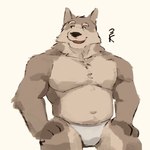 anthro bottomwear brown_body brown_fur clothed clothing fur male multicolored_body multicolored_fur muscular muscular_male overweight overweight_male sitting solo topless two_tone_body two_tone_fur underwear 3000vnd canid canine canis cannie mammal wolf 1:1 hi_res