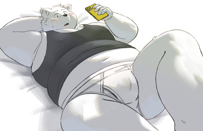 anthro belly big_belly blush bulge cellphone clothing electronics kemono lying male navel overweight overweight_male phone shirt smartphone solo topwear underwear sv_grart canid canine canis domestic_dog mammal 2025 hi_res