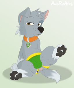 anus blush brown_eyes bulge clothed clothed_feral clothing collar feral fur grey_body grey_fur hair jockstrap jockstrap_only looking_at_viewer male open_mouth partially_clothed pawpads paws pose simple_background sitting solo spread_legs spreading tail tongue toony topless underwear underwear_down underwear_only young young_feral aurapuparts paw_patrol rocky_(paw_patrol) canid canine canis domestic_dog mammal mixed_breed absurd_res digital_media_(artwork) hi_res