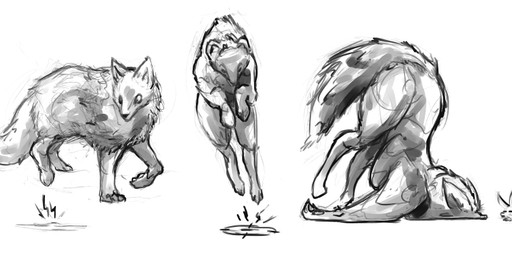 ambiguous_gender feral front_view fur grey_background group jumping pawpads quadruped side_view simple_background standing tail trio deriaz arctic_fox canid canine fox mammal true_fox 2013 digital_drawing_(artwork) digital_media_(artwork) greyscale monochrome sketch