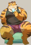 anthro belly biped bottomwear bulge clothing food humanoid_hands kemono male musclegut muscular one_eye_closed overweight overweight_male popsicle shirt shorts sitting solo tank_top topwear wink ayame42612 felid mammal pantherine tiger 2022 hi_res