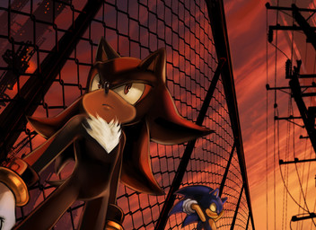 against_fence against_surface anthro black_body black_fur blue_body blue_fur chain-link_fence chest_tuft city clothing duo fence fur gloves handwear male power_lines sunset tuft utility_pole nashico623 sega sonic_the_hedgehog_(series) shadow_the_hedgehog sonic_the_hedgehog eulipotyphlan hedgehog mammal