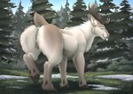 absurd_res antlers anus blue_eyes butt day deer detailed_background female feral fir_tree forest genitals grass hi_res hooves horn kori_(zenrii) mammal new_world_deer outside plant pussy reindeer snow solo standing teasing teats tongue tongue_out tree udders zenrii