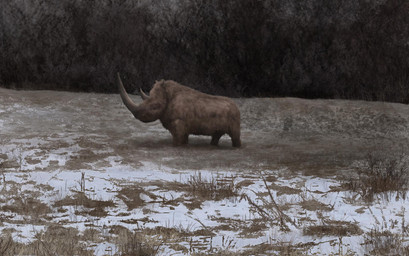 brown_body brown_fur feral fur horn quadruped solo tundra mihin89 mammal prehistoric_species rhinoceros woolly_rhinoceros 2023