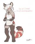 apron balls bandage barista beverage blush bottomless bulge clothed clothing coffee container cup dialogue digitigrade genitals hair long_tail male markings ring_(marking) ringed_tail smile solo striped_markings striped_tail stripes tail tail_markings text tray white_hair serulean polo sinclair_(notglacier) ailurid mammal red_panda 2017 4:5 english_text hi_res