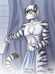 abs anthro bathroom biceps black_hair blue_eyes chest_tuft clothed clothing fur hair male multicolored_hair muscular muscular_male partially_clothed pecs shower solo stripes tuft two_tone_hair white_body white_fur white_hair heresy_(artist) harry_campbell felid mammal pantherine tiger 2018 3:4 digital_media_(artwork) hi_res shaded