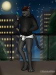 anthro black_clothing black_hoodie black_topwear briefs bulge clothing drawyourfursona hoodie hoodie/briefs_meme male simple_background solo standing topwear underwear white_clothing white_underwear malokaiotter airpods meme_clothing felid mammal pantherine hi_res meme