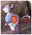 anthro ball basketball basketball_(ball) basketball_court blue_clothing border clothing detailed_background diaper fur grey_body grey_fur jersey littlepawz_(diaper) looking_back male markings navel smile snout solo spots spotted_body spotted_fur tail white_border young young_anthro iztli abuniverse littlepawz geriel_(iztli) felid mammal pantherine snow_leopard 2023