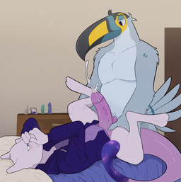 anal anal_penetration balls bed bedroom bodily_fluids clothed clothing cum cumshot duo ejaculation feathers furniture genital_fluids genitals grey_body grey_feathers hoodie lying male male/male male_penetrated male_penetrating male_penetrating_male on_back overweight overweight_male partially_clothed penetration sex shirt topwear lexibeetz nintendo pokemon cosmic_(cosmicmewtwo) frank_(siristhegreat) avian bird felid feline generation_1_pokemon legendary_pokemon mammal mewtwo pokemon_(species) toucan hi_res