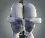 3d_(artwork) anthro bent_over butt canid canine canis digital_media_(artwork) female genitals gradient_background green_eyes grey_background grey_body hands_together hi_res mammal nude praise_da_booty_(meme) pussy simple_background solo source_filmmaker_(artwork) steamcloaker white_body wolf