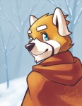 anthro blue_eyes clothed clothing day fur looking_at_viewer looking_back male orange_body orange_fur outside plant rear_view smile snow solo tree white_body white_fur wood orangetavi ailurid mammal red_panda 2011