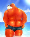 anthro butt clothing humanoid_hands male outside overweight overweight_anthro overweight_male solo swimwear undressing water bunta_(sisiwaka_3) bear mammal 2013 4:5