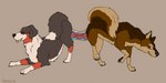 anatomically_correct anatomically_correct_genitalia anatomically_correct_penis animal_genitalia animal_penis ass_to_ass balls blep brown_body brown_fur canine_genitalia canine_penis digitigrade duo ear_piercing ear_ring erection eyes_closed feral feral_on_feral frottage fur genitals knotting male male/male penetrable_sex_toy penile penis penis_backwards piercing quadruped raised_leg raised_tail ring_piercing sex sex_toy sharing_penetrable_sex_toy sharing_sex_toy tail tongue tongue_out vonark coco_(vonark) karn_(karn_the_wolf) bernese_mountain_dog canid canine canis domestic_dog mammal molosser mountain_dog swiss_mountain_dog wolf 2020