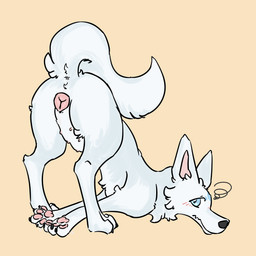 animal_genitalia animal_vulva anus ass_up breasts butt canine_genitalia canine_vulva dizzy female feral fur genitals paws presenting presenting_hindquarters presenting_vulva shy solo spread_legs spreading vulva white_body white_fur pinkcandyzhou dogs_world canid canine canis domestic_dog mammal 1:1 hi_res