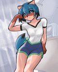 4:5 anthro blue_hair brand_new_animal breasts brown_body canid canine clothing digital_drawing_(artwork) digital_media_(artwork) female hair hi_res mammal michiru_kagemori procyonid raccoon raccoon_dog softspecies solo studio_trigger tail tanuki wallpaper