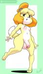 2017 absurd_res animal_crossing anthro argento balls barefoot big_balls biped breasts canid canine canis circumcised crossgender domestic_dog feet flaccid genitals gynomorph hi_res humanoid_genitalia humanoid_penis intersex isabelle_(animal_crossing) mammal navel nintendo nude penis shih_tzu simple_background small_breasts solo toy_dog