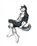 canine dog flexing husky male mammal muscles pecs rain rain-yatsu seattle_fur
Rating: Questionable
Score: 1
User: cole-nyaa
Date: April 16, 2014