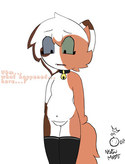 anthro bell bell_collar belly brown_body brown_fur clothing collar confusion female fur genitals heterochromia legwear male multicolored_body multicolored_fur navel nude open_mouth orange_body orange_fur simple_background solo tail text thigh_highs vulva white_body white_fur young young_anthro young_male koredex felid feline mammal absurd_res digital_media_(artwork) hi_res