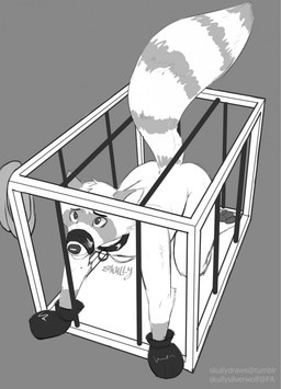 all_fours anthro bdsm bondage bondage_gear bondage_gloves bound cage clothing collar collar_only eyebrows fur grey_background handwear in_cage looking_up male muzzle_(object) muzzled nude simple_background solo submissive submissive_male skully buster_lark mammal procyonid raccoon black_and_white hi_res monochrome
