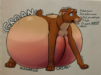 brown_body brown_fur close_to_bursting female feral fur grey_background hyper hyper_inflation immobile inflation multicolored_body multicolored_fur pink_nose profanity simple_background solo tail teary_eyes teeth text vein veiny_belly worried jackiethedoodler canid canine canis domestic_dog mammal english_text hi_res