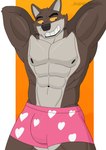 abs anthro biceps boxers_(clothing) clothed clothing heart_boxers heart_clothing heart_symbol heart_underwear male male_anthro muscular muscular_anthro muscular_male pecs pink_clothing pink_underwear solo underwear underwear_only super_touffe dreamworks the_bad_guys mr._wolf_(the_bad_guys) canid canine canis mammal wolf absurd_res hi_res