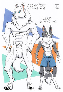 abs animal_genitalia anthro arm_wraps balls blue_eyes bottomwear claws clothing digitigrade duo eye_scar facial_scar fully_sheathed genitals green_eyes male muscular muscular_male neck_tuft nude scar sheath shorts tail tail_wraps tuft wraps dogwash agony_(dogwash) liam_(dogwash) border_collie canid canine canis collie domestic_dog herding_dog mammal pastoral_dog sheepdog wolf 2026 marker_(artwork) model_sheet traditional_media_(artwork)