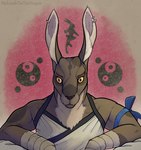 anthro bow_ribbon clothing ear_piercing hand_wraps looking_at_viewer male muscular pattern_background piercing simple_background solo wraps malcombtheteadragon hare lagomorph leporid mammal hi_res