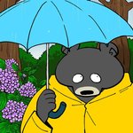 anthro black_body black_fur black_nose fur fur_markings humanoid_hands markings outside raining solo umbrella yuumin148 bear black_bear mammal moon_bear ursine 1:1 2020