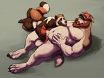 anthro balls beard big_balls big_penis clothing duo facial_hair genitals hat headgear headwear holding_stomach male male/male masturbation overweight overweight_male penis resting_on_partner douglas_kim canid canine canis domestic_dog mammal raccoon_dog tanuki hi_res