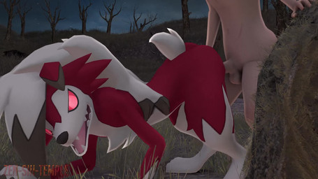 all_fours ambiguous_penetration anthro anthro_penetrated balls chest_tuft duo erection female female_focus female_penetrated from_behind_position genitals human_on_anthro human_penetrating human_penetrating_anthro humanoid_genitalia humanoid_penis interspecies male male/female male_penetrating male_penetrating_female nude outside penetration penile penile_penetration penis pokephilia red_eyes red_sclera sex solo_focus standing tuft zensintemple nintendo pokemon generation_7_pokemon human lycanroc mammal midnight_lycanroc pokemon_(species) 16:9 2022 3d_(artwork) 3d_animation animated digital_media_(artwork) hi_res loop no_sound short_playtime source_filmmaker_(artwork) video widescreen