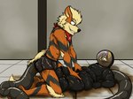 2020 4:3 anthro anthro_on_anthro arcanine arrwulf blonde_hair bodysuit bottomwear canid canine clothing covering duo feces feces_on_body feces_on_face feces_on_leg fennec_fox fox fur generation_1_pokemon glistening glistening_clothing grey_body grey_fur hair inflation kerchief knedit kneeling latex latex_bottomwear latex_clothing latex_shorts latex_skinsuit looking_down looking_down_at_partner looking_forward lying male male/male mammal multicolored_body multicolored_fur neckerchief neckwear nintendo on_back orange_body orange_fur pokemon pokemon_(species) purple_eyes red_eyes rubber_clothing scat_inflation scatplay shorts skinsuit tan_body tan_fur tight_clothing true_fox tube