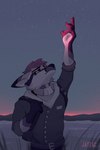 clothed clothing desert fully_clothed hiking landscape male night outside pensive purple_eyes red_light simple_background sky slim solo standing star sunset winter jayzac zachary_(gzdraws) canid canine fox mammal 2:3 absurd_res hi_res