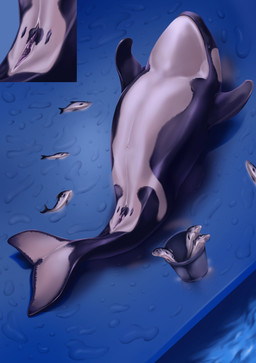 belly cetacean clitoris close close-up dragonboy20144 female feral fish genital lying mammal marine orca pussy sea slit solo water whale
Rating: Explicit
Score: 3
User: Marinelover911
Date: April 24, 2018 belly cetacean clitoris close close-up dragonboy20144 female feral fish genital lying mammal marine orca pussy sea slit solo water whale
Rating: Explicit
Score: 3
User: Marinelover911
Date: April 24, 2018
