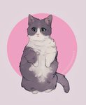 ambiguous_gender feral fluffy fluffy_tail fur green_eyes grey_body grey_fur hind_legs pink_nose simple_background solo standing tail white_body white_fur bewitchedink domestic_cat felid feline felis mammal digital_media_(artwork)