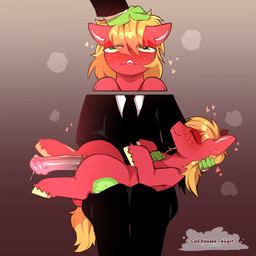 animal_genitalia animal_penis blonde_hair blush clothing cuddling cutie_mark duo equine_genitalia equine_penis erection eyes_closed feral fur genitals green_body green_eyes green_skin hair half-closed_eyes heart_eyes heart_symbol male narrowed_eyes on_lap penis petting red_body red_fur solo_focus suit cold-blooded-twilight friendship_is_magic hasbro my_little_pony anon big_macintosh_(mlp) equid equine horse human mammal pony 1:1 2025 hi_res